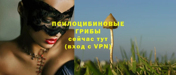 соль курить ск Аркадак