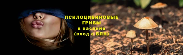 mdpv Баксан