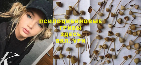 прущие крисы Балахна